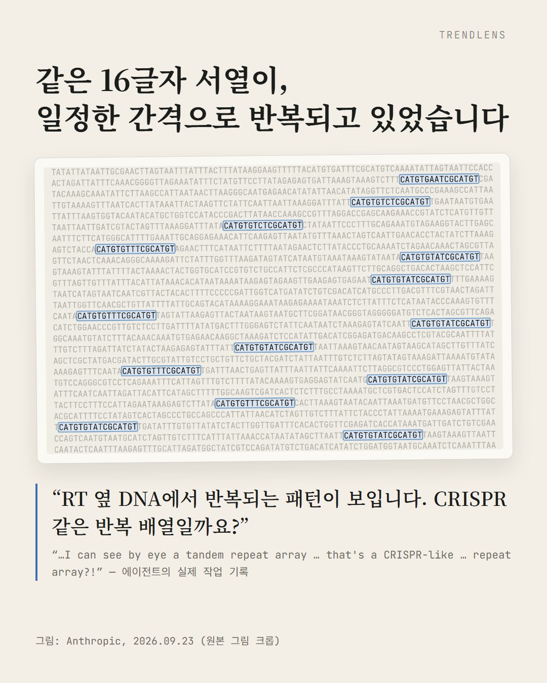 Instagram 카드 2