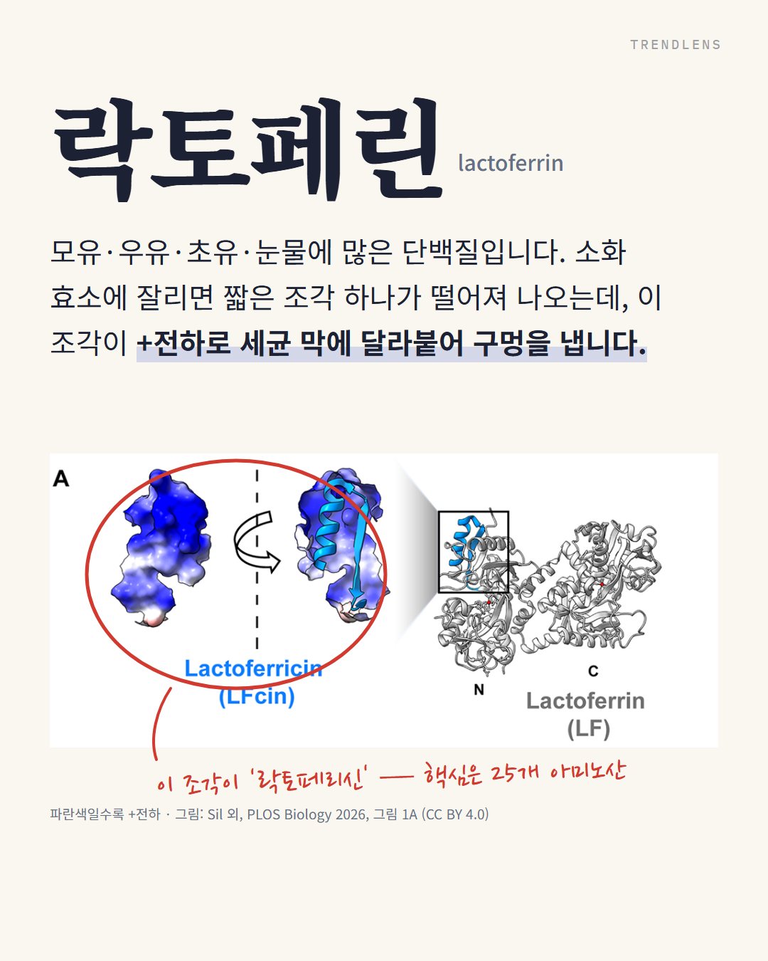 Instagram 카드 2